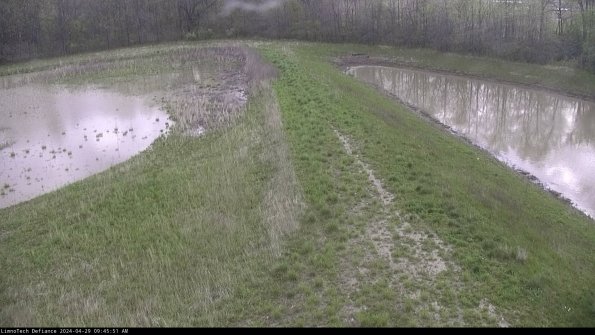 Cell 4 to Basin_24-04-29_09-45-52-37