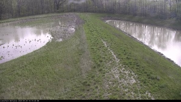 Cell 4 to Basin_24-04-29_10-19-21-36