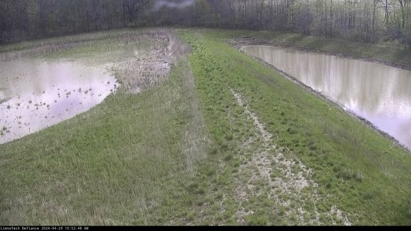 Cell 4 to Basin_24-04-29_10-52-49-37