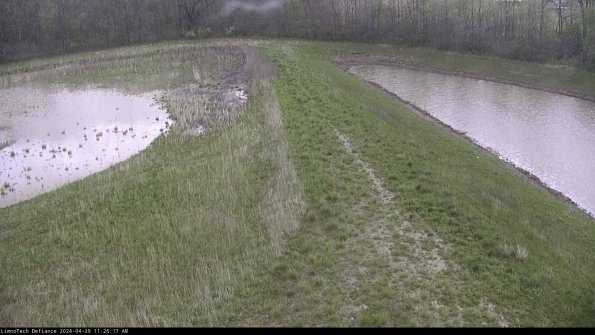 Cell 4 to Basin_24-04-29_11-26-18-36