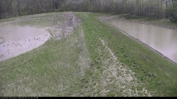 Cell 4 to Basin_24-04-29_12-33-17-37