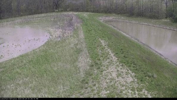 Cell 4 to Basin_24-04-29_13-40-16-34