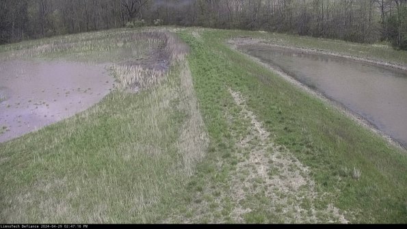 Cell 4 to Basin_24-04-29_14-47-17-35