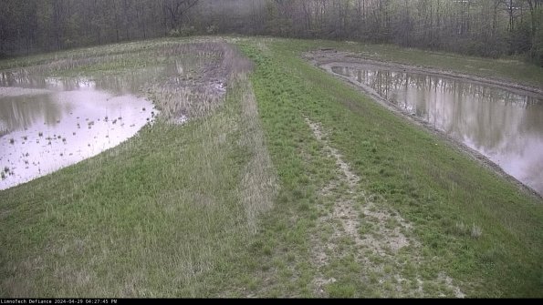 Cell 4 to Basin_24-04-29_16-27-46-35