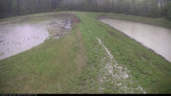 Cell 4 to Basin_24-04-29_18-08-15-37