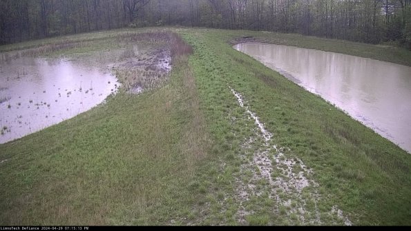 Cell 4 to Basin_24-04-29_19-15-14-34