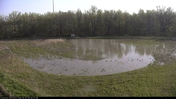 Cell 4_24-04-29_08-38-24-37