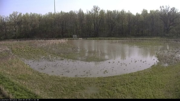 Cell 4_24-04-29_09-11-53-35