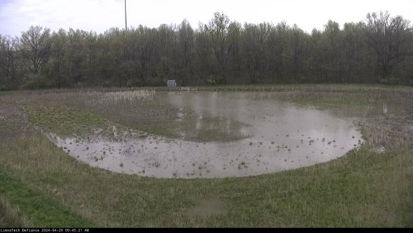 Cell 4_24-04-29_09-45-22-34