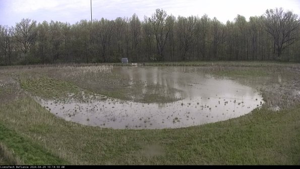 Cell 4_24-04-29_10-18-51-36