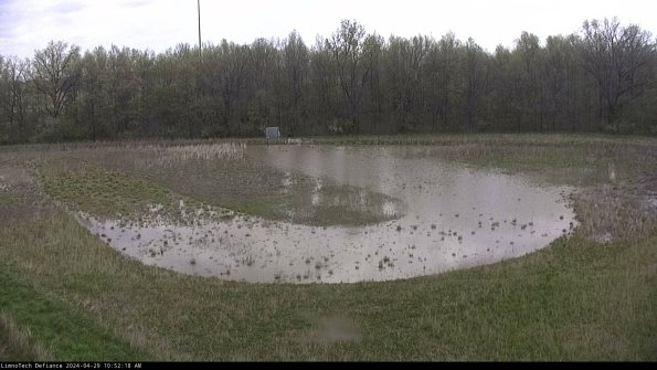 Cell 4_24-04-29_10-52-19-34