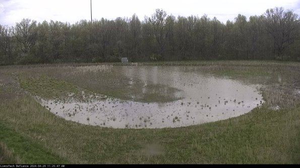 Cell 4_24-04-29_11-25-48-37