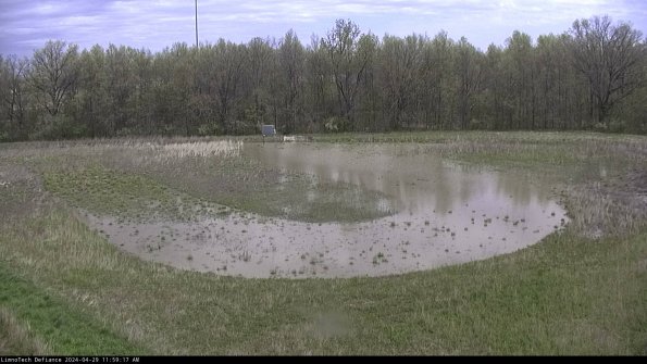 Cell 4_24-04-29_11-59-18-35