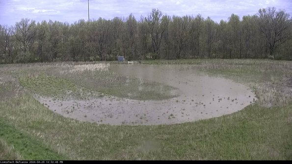 Cell 4_24-04-29_12-32-47-34