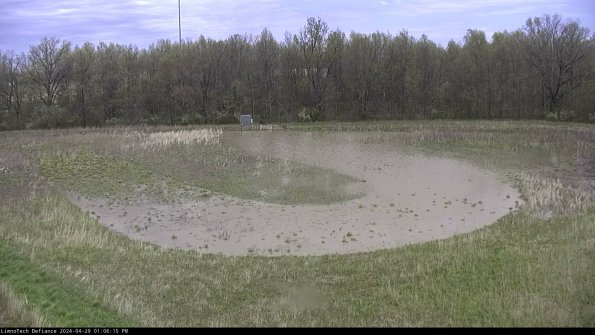 Cell 4_24-04-29_13-06-16-36