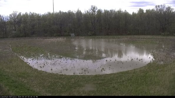 Cell 4_24-04-29_15-20-17-38