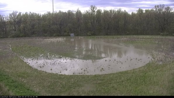 Cell 4_24-04-29_15-53-46-36