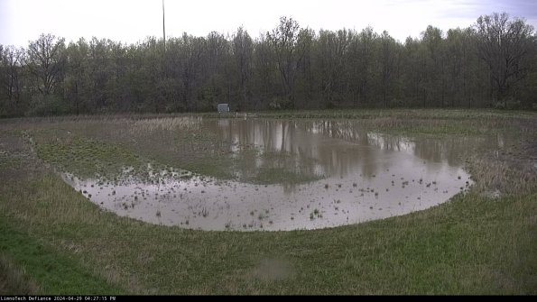 Cell 4_24-04-29_16-27-16-35