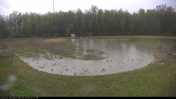 Cell 4_24-04-29_17-34-16-36