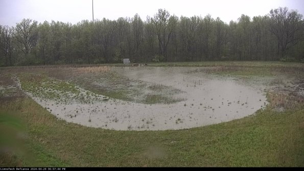 Cell 4_24-04-29_18-07-45-34