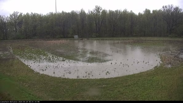 Cell 4_24-04-29_18-41-15-33