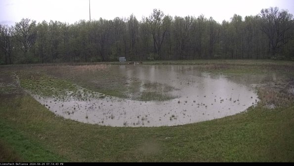 Cell 4_24-04-29_19-14-44-31