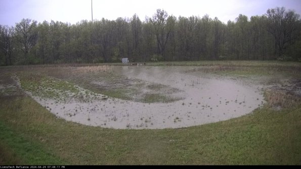 Cell 4_24-04-29_19-48-12-33