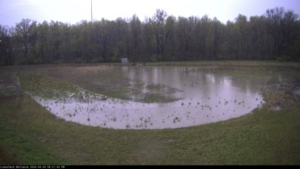 Cell 4_24-04-29_20-21-43-35