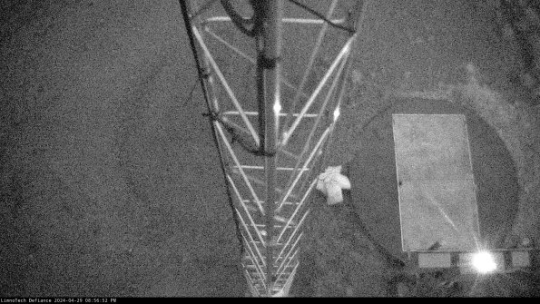 Hatch_24-04-29_20-56-53-33