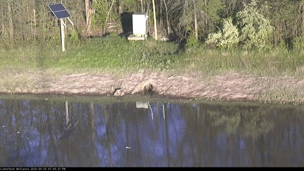 Basin Inflow_24-04-30_19-49-24-33