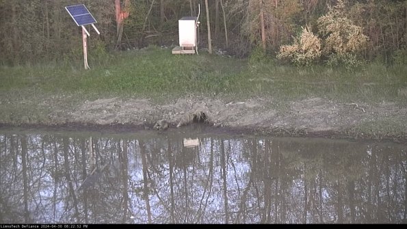 Basin Inflow_24-04-30_20-22-52-49