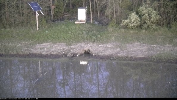 Basin Inflow_24-04-30_20-56-21-57