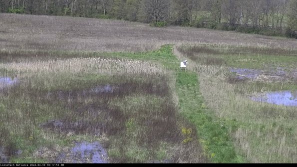 Cell 1 to 2_24-04-30_10-17-56-32