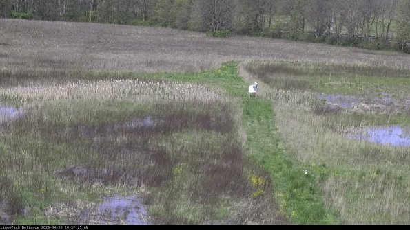 Cell 1 to 2_24-04-30_10-51-26-34