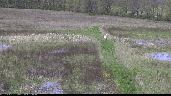 Cell 1 to 2_24-04-30_11-24-56-33