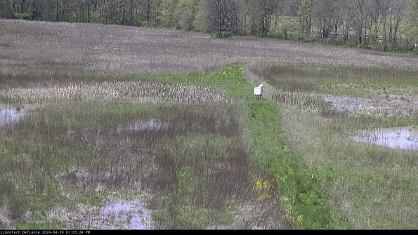 Cell 1 to 2_24-04-30_13-05-25-32