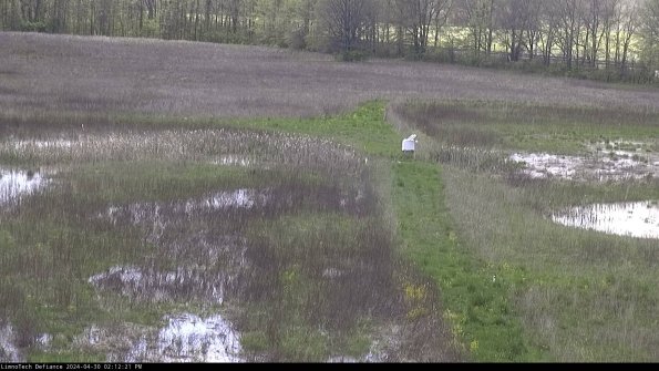 Cell 1 to 2_24-04-30_14-12-22-33