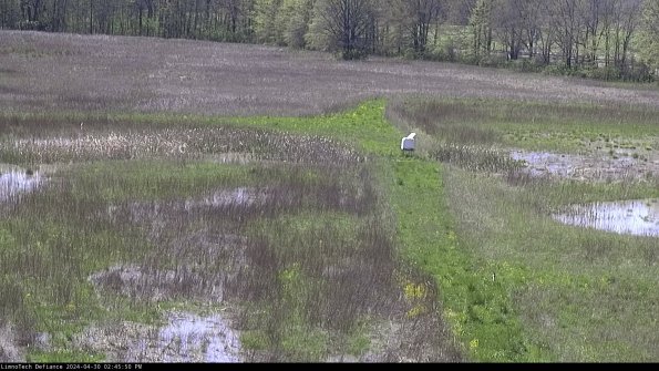 Cell 1 to 2_24-04-30_14-45-51-31