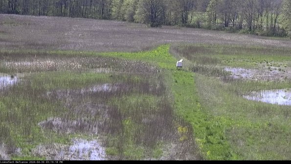 Cell 1 to 2_24-04-30_15-19-19-33