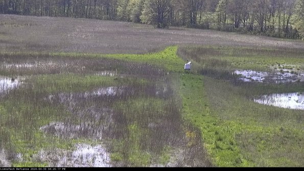 Cell 1 to 2_24-04-30_16-26-18-34