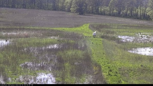 Cell 1 to 2_24-04-30_16-59-48-33