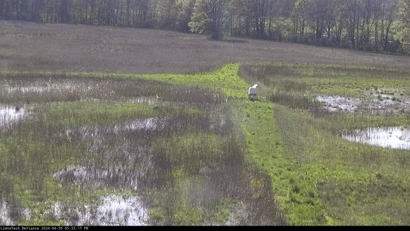 Cell 1 to 2_24-04-30_17-33-18-32