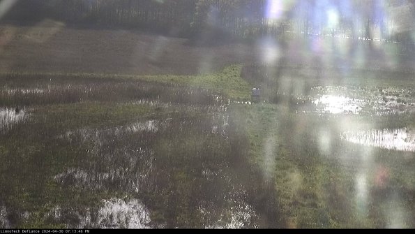 Cell 1 to 2_24-04-30_19-13-47-31