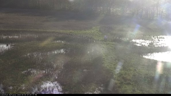 Cell 1 to 2_24-04-30_19-47-18-33