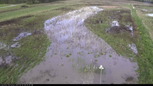 Cell 1_24-04-30_08-03-44-33