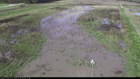 Cell 1_24-04-30_09-44-12-32