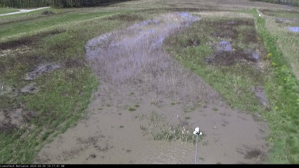 Cell 1_24-04-30_10-17-42-30