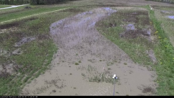 Cell 1_24-04-30_11-24-42-31