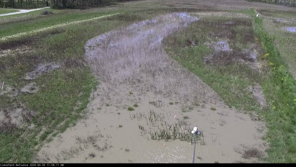 Cell 1_24-04-30_11-58-12-33