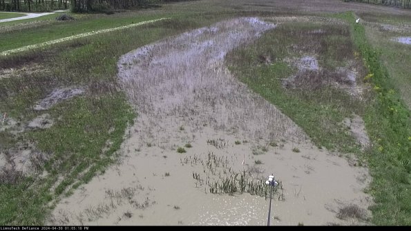 Cell 1_24-04-30_13-05-11-34